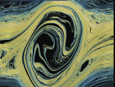 PNAS-cover